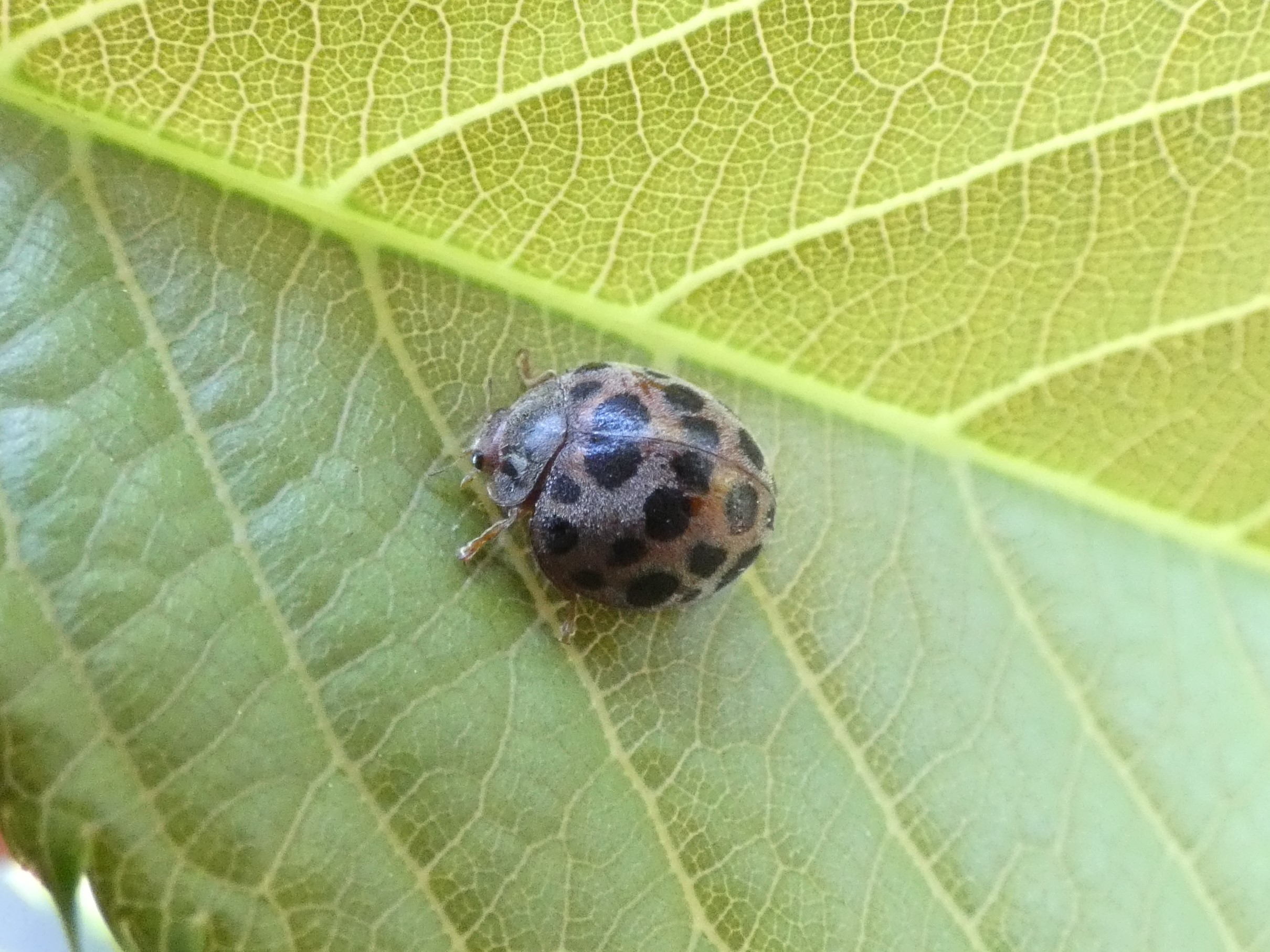 photo_1